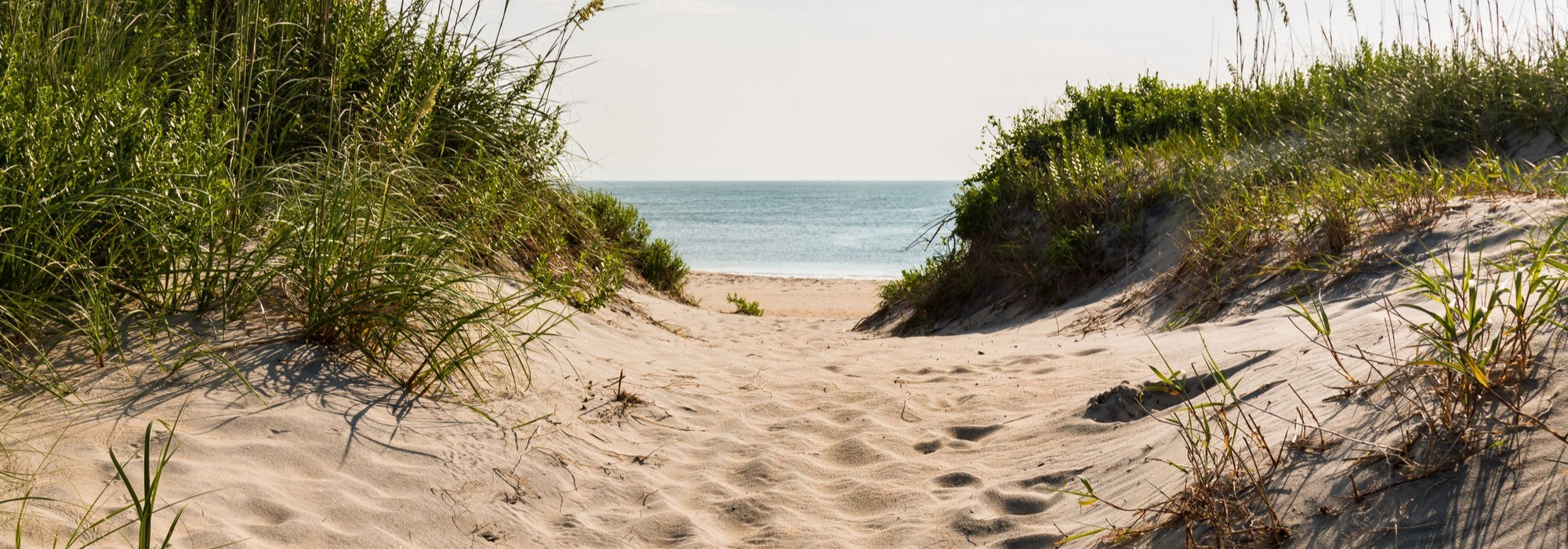 Top East Coast Beach Destinations for Every Trip Type