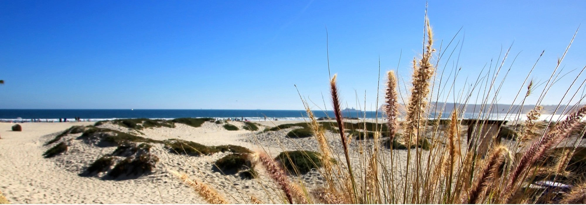 Top West Coast Beach Destinations by Trip Type